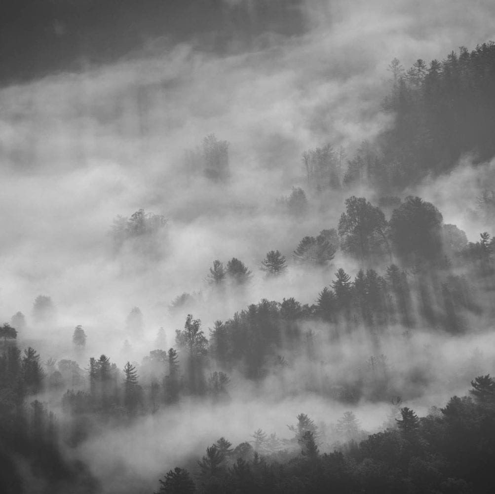 featured-image
